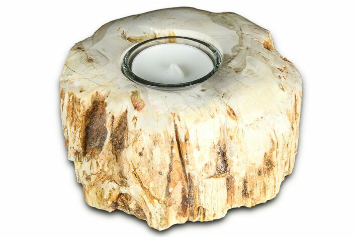 Polished Petrified Wood Candle Holder - Madagascar #378674
